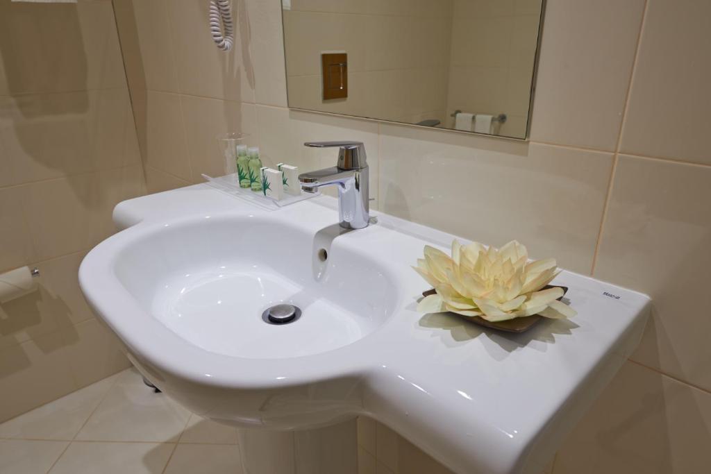 Hotel Azinheira By Ridan Hotels ฟาติมา ห้อง รูปภาพ