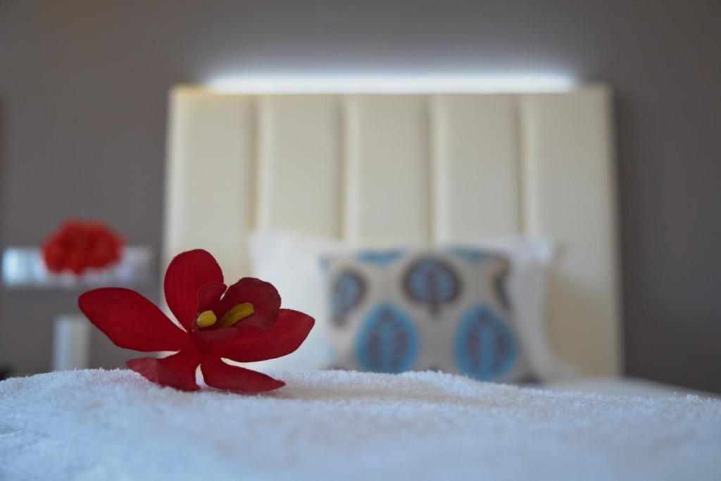 Hotel Azinheira By Ridan Hotels ฟาติมา ห้อง รูปภาพ