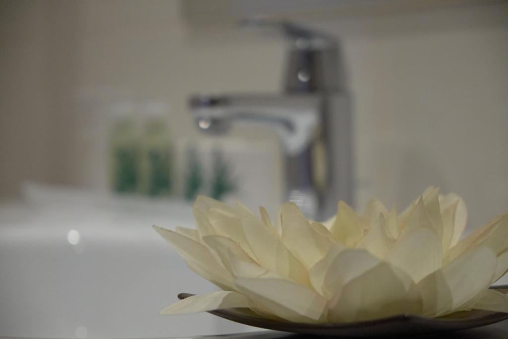 Hotel Azinheira By Ridan Hotels ฟาติมา ห้อง รูปภาพ